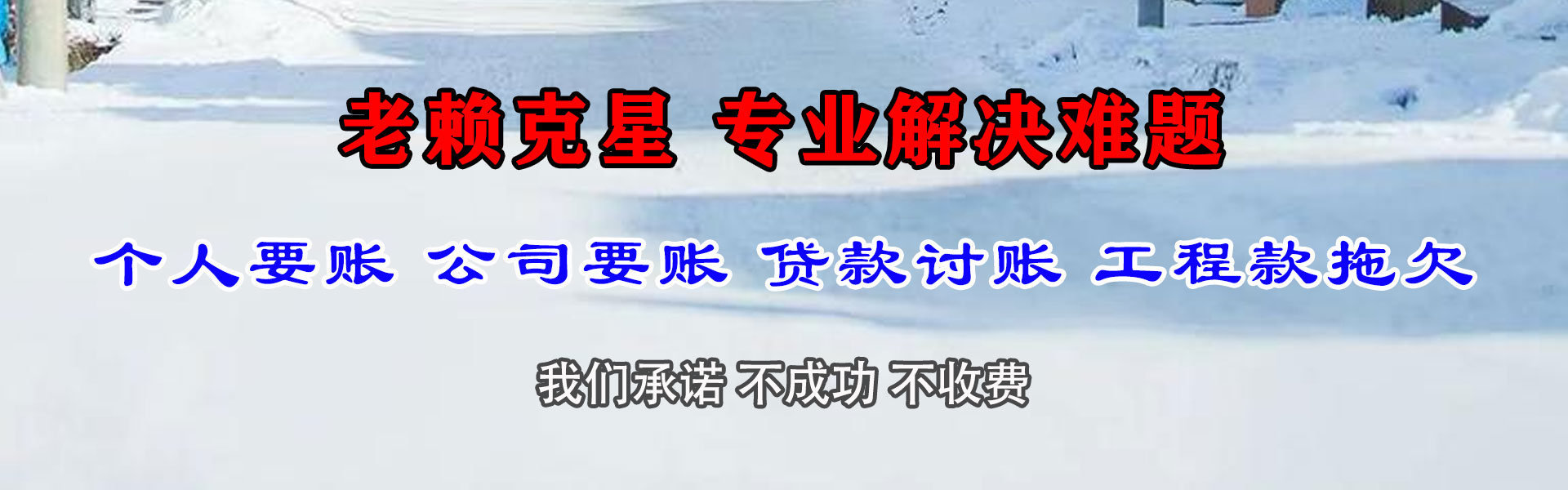保亭清数公司